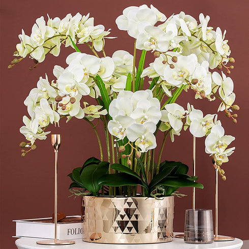 HinyoCo 5 Pcs Artificial Phalaenopsis Flowers Artificial Orchid Flowers 32 Inch Stem Plants for Home Wedding Decoration