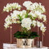 HinyoCo 5 Pcs Artificial Phalaenopsis Flowers Artificial Orchid Flowers 32 Inch Stem Plants for Home Wedding Decoration