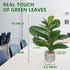 SenseYo Artificial Fiddle Leaf Fig Tree 18" Faux Ficus Lyrata in Pot Natural Fake Tree with 13 Leaves Lifelike Greenery Plant Tree Indoor Outdoor Decor for House Home Office Perfect Housewarming Gift