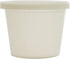 Vito's famous Deli Container with Lid, 4 Ounce (Pack 50)