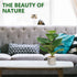 SenseYo Artificial Fiddle Leaf Fig Tree 18" Faux Ficus Lyrata in Pot Natural Fake Tree with 13 Leaves Lifelike Greenery Plant Tree Indoor Outdoor Decor for House Home Office Perfect Housewarming Gift