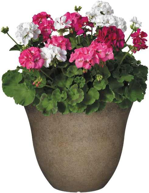 Classic Home and Garden Honeysuckle Planter, Patio Pot, 13" Fossil Stone