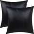 BRAWARM Pack of 2 Black Leather Throw Pillows 20 X 20 Inches, Black Faux Leather Decorative Throw Pillow Covers for Living Room Home Decor Garden Couch Bed Sofa