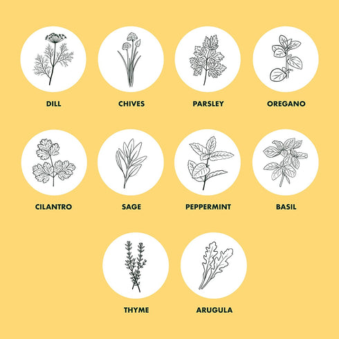 Herb Garden Seeds for Planting - 10 Culinary Herb Seed Packets Kit, Non GMO Heirloom Seeds, Plant Markers, Wood Gift Box - Home Gardening Gifts for Gardeners