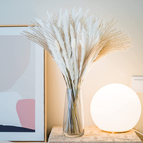 70 Pcs | 35 Pcs White Pampas & 10 Pcs White Bunny Tail & 20 Pcs Reed Grass 5 Pcs White Reed/Natural Dried Pampas Grass for Flower Arrangements Home Decor
