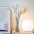 70 Pcs | 35 Pcs White Pampas & 10 Pcs White Bunny Tail & 20 Pcs Reed Grass 5 Pcs White Reed/Natural Dried Pampas Grass for Flower Arrangements Home Decor