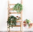 Cocoboo 2 Pack Artificial Hanging Plants Decor,Fake Hanging Plants with Potted Greenery Vine for Wall Indoor Outdoor Decoration
