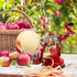 Apple Peelers, Apple Peeler Corer Slicer Stainless Steel 3 in 1 Heavy Duty with Suction Grips Base Peelers Apple Pear Potato Applesauce Cider Apple juice Apple Pie Tools Peelers for Kitchen