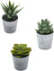 Artificial Succulents Set of 3 Mini Realistic Fake Plants with Plastic Pots for Home and Office Decoration, Including Aloe, Echeveria laui and Haworthia coarctata f. greenii, 4in (H) x 3.5in (W)
