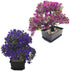 Fycooler Artificial Bonsai Tree-Fake Plant in Pot Artificial Plants,Faux Bonsai Japanese Pine Bonsai Artificial Plants for Home Decor Indoor,Office/Windowsill/Yard,Desktop Display, Zen Garden Décor