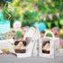 50Pcs Cupcake Boxes Individual,LittleDirigible Portable Single Cupcake Carrier with Window Insert Handle,Pastry Muffins Boxes for Wedding Birthday Party