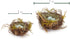 Faux Decorative Bird's Egg Nest (Robin's Eggs - Set of 2)