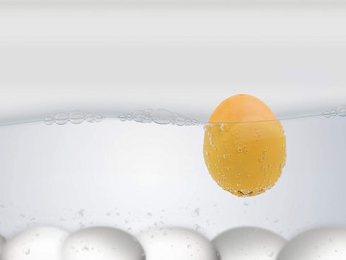 Brainstream A004525 BeepEgg Singing Floating Egg Timer, Yellow