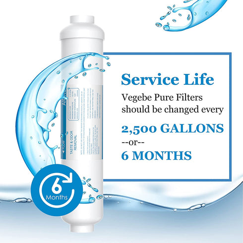 Vegebe Inline Water Filter for Ice Maker, Refrigerator, Under-Sink Reverse Osmosis Water System, Post Activated Carbon Water Filter Replacement Cartridge with 1/4-Inch Compression-Connect (Pack of 2)