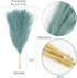 6PCS Artificial Pampas Grass Faux Short Fluffy Pampas Grass Plants Stems Branches for Wedding Home Living Room Decor Flower Arrangement and Vase Fillings(Peacock Green)