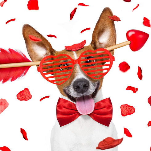 40 Pcs Valentines Day Party Favors 20 Pcs Valentines Heart Shutter Glasses 20 Pcs Valentines Silicone Wristband Rubber Bracelets for Valentine's Day Party Supplies Birthday Party Costume Accessory