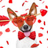 40 Pcs Valentines Day Party Favors 20 Pcs Valentines Heart Shutter Glasses 20 Pcs Valentines Silicone Wristband Rubber Bracelets for Valentine's Day Party Supplies Birthday Party Costume Accessory