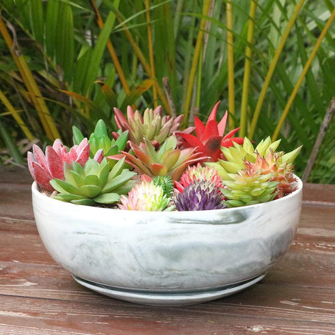 G EPGardening 8in Marble Pattern Large Round Succulent Planter Pot Modern Flower Pot Indoor and Outdoor Planter with Marble Tray