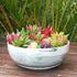 G EPGardening 8in Marble Pattern Large Round Succulent Planter Pot Modern Flower Pot Indoor and Outdoor Planter with Marble Tray
