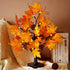CKE 24 Inch Artificial Fall Tree Lighted Maple Tree Battery USB Operated w/Timer, 24 LED Thanksgiving Decorations Table Lights Tree for Autumn Wedding Party Gift Indoor Outdoor Harvest Home Decoration