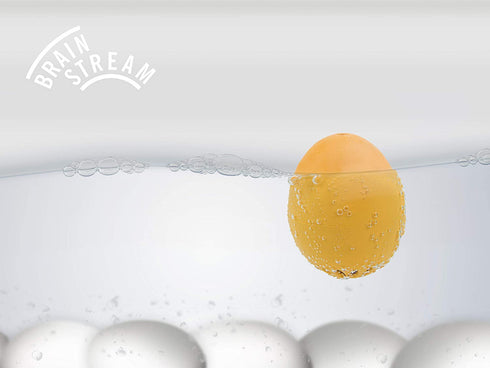 Brainstream A004526 BeepEgg Singing Floating Egg Timer, Patriotic Theme