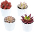 Olrla Mini Artificial Succulents Plants Set of 4, Realistic Faux Succulent in White Pots for DIY Bedroom Bathroom Bookshelf Office Garden Women Desk Decor (Red )