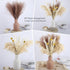 61Pcs Natural Dried Pampas Grass, 17" Tall Fluffy Pompous Grass Dried Flowers Bouquet Decor with Reed Grass/Wheats/Lagurus Ovatus/ for Boho Farmhouse Rustic Vase