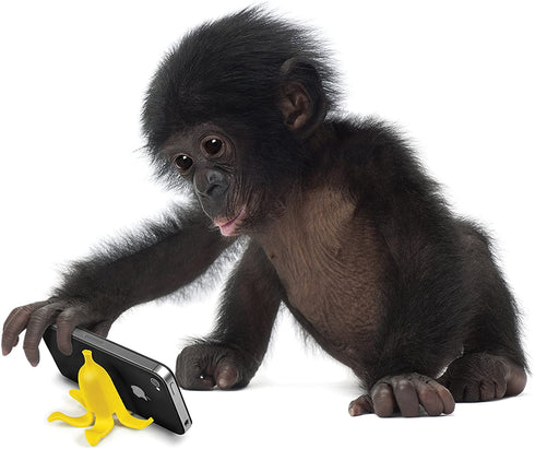 Genuine Fred BANANA STAND Phone Stand, BASTA