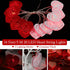 16 Feet/ 5 Meters 20 LED Heart String Light, Valentine's Day String Light Battery Operated Decoration Fairy String Light Warm Red Light Decor for Garden Party Wedding Christmas Party (Red, White)
