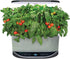 AeroGarden Salsa Garden Seed Pod Kit, 9