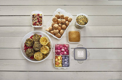 LocknLock Easy Essentials Food Lids/Pantry Storage/Airtight Containers, BPA Free, Rectangle - 8 Cup - for Cookies, Clear