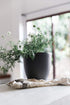 Gardenix Decor 7'' Self Watering planters for Indoor Plants - Flower Pot with Water Level Indicator for Plants, Grow Tracking Tool - Self Watering Planter Plant Pot-Coco Coir - Gray 1 Pack