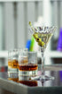 Luigi Bormioli Bach 16.25 oz. Beverage/Hiball/Glass, Set of 4, Clear