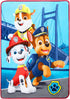 Franco Kids Bedding Super Soft Micro Raschel Throw, 46 in x 60 in, Paw Patrol