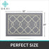 DEXI Indoor Door Mat, 32"x20" Non-Slip Low-Profile Entrance Rug, Absorbent Machine Washable Front Doormats for Back Door, High Traffic Areas, Grey