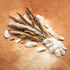 GREAT PEAK 100 Pcs Pampas Grass, 20 Pcs Natural Dried Pampas, 20Pcs White Pampas, 60Pcs Rabbit Tail Grass for Home and Boho Decor, Wedding Flower Arrangement, Fluffy Pampas Tall Grass Bouquet