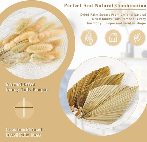 33 Pieces Dried Palm Spears Leaves Dried Pampas Grass Bunny Tail Natural Dried Palm Fans Grass Rabbit Tail Lagurus Ovatus Boho Dried Flower Bouquet for Room Kitchen Wedding Home Party Decor