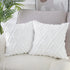 Neelvin Pack of 2 Soft Plush Short Wool Velvet Decorative Throw Pillow Covers Cushion Case Pillowcase for Sofa Couch