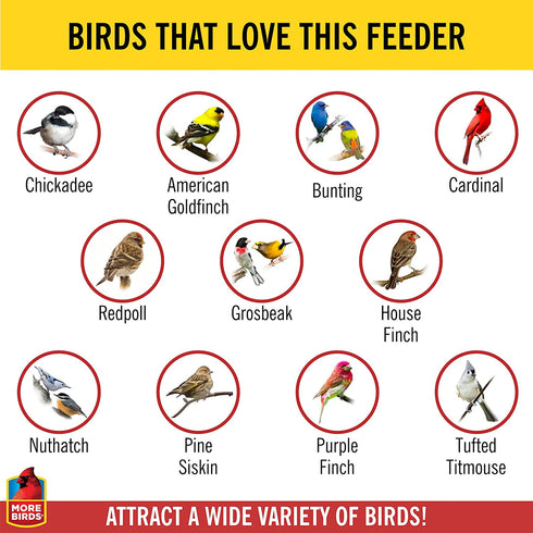 More Birds Abundance Bird Feeder, Combination Mixed Seed and Thistle, 6 Feeding Ports, 3.5 lb Seed Capacity