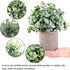 CEWOR 4 Packs Artificial Mini Potted Plants Fake Grey Greenery Eucalyptus Rosemary Boxwood Plastic Centerpiece for Bathroom Shelf Home Office Desk Table Indoor Decor