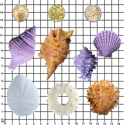 Seashell Sea Urchin Candy Silicone Molds for Fondant Cake Decoration, Cupcake Topper, Chocolate, Soap, Polymer Clay, Resin Epoxy, Concrete, Cement, Plaster Craft Projects 7-in-set Large