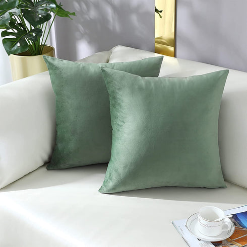 mixeoo Comfy Sage Green Throw Pillow Covers Decorative Square Solid Thick Velvet Super Soft Cushion Cases Home Decor for Sofa Couch Living Room Chair, Set of 2, 20 x 20 Inch