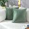 mixeoo Comfy Sage Green Throw Pillow Covers Decorative Square Solid Thick Velvet Super Soft Cushion Cases Home Decor for Sofa Couch Living Room Chair, Set of 2, 20 x 20 Inch
