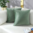 mixeoo Comfy Sage Green Throw Pillow Covers Decorative Square Solid Thick Velvet Super Soft Cushion Cases Home Decor for Sofa Couch Living Room Chair, Set of 2, 20 x 20 Inch