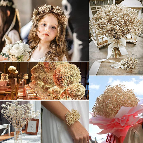Dried-Babys-Breath-Flowers-Bouquet-17 inch 1500+ Ivory White Flowers, Natural Gypsophila Branches for Wedding, DIY Home Party Decor, Table Vase Decor for Parents, Friend, Children (White)