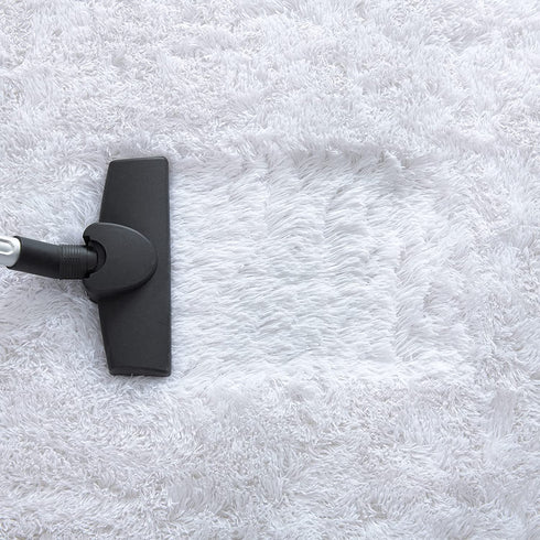 Ompaa Fluffy Area Rugs, Super Soft Shaggy Rug Fuzzy Long Fur Carpets for Bedroom Living Room Decor, 3 x 5 Feet White