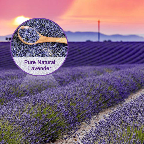 Armour Shell Lavender Sachets - Dried Lavendar Flower Sachet Bags (18 Pack) for Home Fragrance and Long-Lasting Fresh Scents, Natural Moths Away for Clothes Closets. Protect & Defend Clothing.