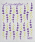Wet-It! Swedish Dishcloth Set (Herbs Set of 3)