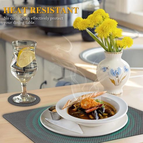 Placemats Set of 6, Placemat with Coasters Heat Stain Scratch Resistant Non-Slip Waterproof Oil-Proof Washable Wipeable Outdoor Indoor Place mats for Kitchen Dining Patio Table Kitchen Decor and Kids