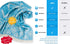 Cozy Maya | 100% Cotton Original Turkish Beach Towel (35" x 67") - Pre-Washed Peshtemal, Pool, Gym, Spa, Hammam, Bath Towel, Eco-Friendly (Blue)